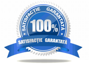 Localizare Auto prin GPS